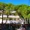 Fantasia Hotel Apartments_best prices_in_Apartment_Dodekanessos Islands_Kos_Kos Chora