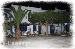 Perasma Studios in Andros Rest Areas, Andros, Cyclades Islands