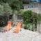 Villa Falcon_accommodation_in_Villa_Ionian Islands_Lefkada_Lefkada Rest Areas