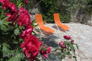 Villa Falcon_best prices_in_Villa_Ionian Islands_Lefkada_Lefkada Rest Areas