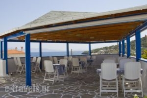 Blue Dolphin Studios And Apartment_travel_packages_in_Piraeus Islands - Trizonia_Aigina_Aigina Chora
