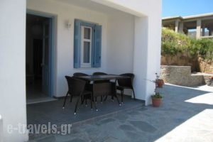 Karaoulanis Apartments_best prices_in_Apartment_Cyclades Islands_Andros_Andros City