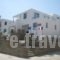 Karaoulanis Apartments_holidays_in_Apartment_Cyclades Islands_Andros_Andros City