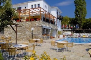 Portaria Hotel_best prices_in_Hotel_Thessaly_Magnesia_Portaria