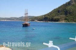 Hotel Avlakia in Samos Rest Areas, Samos, Aegean Islands