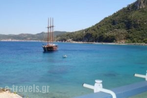 Hotel Avlakia_accommodation_in_Hotel_Aegean Islands_Samos_Samosst Areas