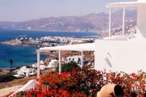 Angelika Studios_travel_packages_in_Cyclades Islands_Mykonos_Mykonos Chora