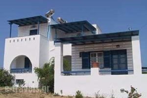 Lofos Studios & Rooms_lowest prices_in_Apartment_Cyclades Islands_Naxos_Naxos Chora