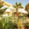 Villa Marie Kelly_accommodation_in_Villa_Crete_Heraklion_Gouves