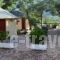 Chrissa Camping Rooms & Bungalows_best deals_Room_Central Greece_Fokida_Amfissa