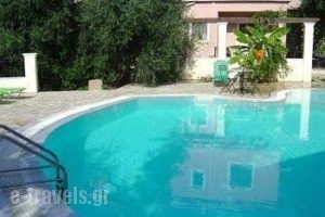 Aliki's_accommodation_in_Apartment_Ionian Islands_Corfu_Nisaki