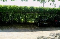 Villa Partheniou_s __1
