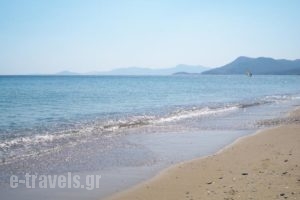 Aphrodite Hotel & Suites_lowest prices_in_Hotel_Aegean Islands_Samos_Samosst Areas