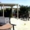 Roses Studios_best prices_in_Hotel_Dodekanessos Islands_Kos_Kos Rest Areas