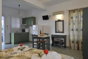 Anixis Studios_lowest prices_in_Hotel_Cyclades Islands_Paros_Paros Chora