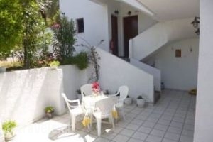 Irini Studios_accommodation_in_Apartment_Sporades Islands_Skiathos_Troulos