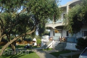 Villa Riza_travel_packages_in_Epirus_Preveza_Kamarina
