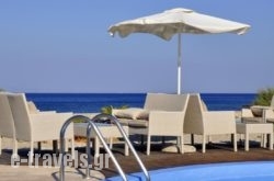 Tony'S Beach_s __1