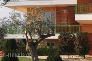 Agroktima Elia_lowest prices_in_Hotel_Peloponesse_Argolida_Nafplio