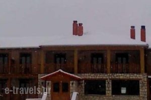 Thea Mainalou_lowest prices_in_Hotel_Peloponesse_Arcadia_Stemnitsa