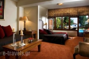 Xenia Palace Portaria_accommodation_in_Hotel_Thessaly_Magnesia_Portaria