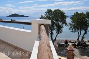Panteli Beach Hotel_accommodation_in_Hotel_Dodekanessos Islands_Leros_Leros Rest Areas