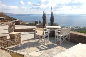 Sea View Exclusive Living Studios_best deals_Hotel_Cyclades Islands_Syros_Vari