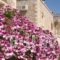 Viola Suites_lowest prices_in_Hotel_Crete_Chania_Sfakia
