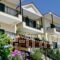 Aristi Studio Apartments_accommodation_in_Apartment_Aegean Islands_Lesvos_Lesvos Rest Areas