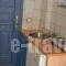 Maistrali Studios_lowest prices_in_Hotel_Cyclades Islands_Andros_Andros City