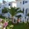 Maistrali Studios_accommodation_in_Hotel_Cyclades Islands_Andros_Andros City