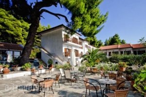Delphi Resort_travel_packages_in_Sporades Islands_Skiathos_Skiathoshora