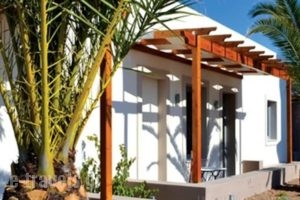 Xanthippi Hotelapart_best deals_Hotel_Piraeus Islands - Trizonia_Aigina_Aigina Rest Areas