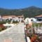 Pavlis Studios_lowest prices_in_Hotel_Aegean Islands_Samos_Kambos