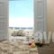 Blue Dolphins Apartments_holidays_in_Apartment_Cyclades Islands_Sandorini_Fira