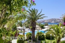 Dionysos Seaside Resort in Ios Chora, Ios, Cyclades Islands