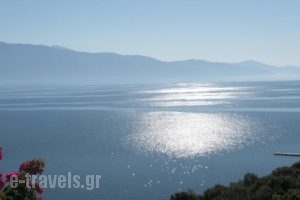 Villa Magemenou_holidays_in_Villa_Ionian Islands_Lefkada_Lefkada's t Areas