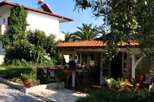 Evripidis Hotel_holidays_in_Hotel_Macedonia_Halkidiki_Kassandreia