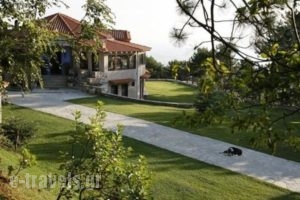 Ktima Faki_lowest prices_in_Hotel_Macedonia_Pieria_Litochoro