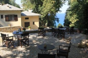 Vergopoulou Oliveyard_travel_packages_in_Thessaly_Magnesia_Agios Georgios Nilias