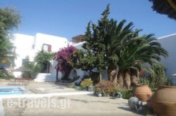 Antonina Apartments in Agia Anna, Naxos, Cyclades Islands