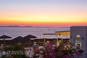 Pirgos Stelida_best deals_Apartment_Cyclades Islands_Naxos_Stelida