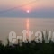 Beach Bunbalows_lowest prices_in_Apartment_Ionian Islands_Zakinthos_Zakinthos Rest Areas