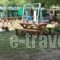 Efrosini_travel_packages_in_Macedonia_Pieria_Paralia Panteleimonas