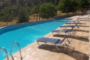 Artemis Kallisti_lowest prices_in_Hotel_Central Greece_Fokida_Monastiraki