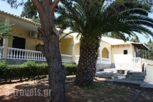 Dimitra Studios_best deals_Apartment_Ionian Islands_Corfu_Benitses