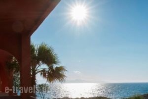 Georgia-Vicky Studios & Apartments_travel_packages_in_Crete_Chania_Stavros