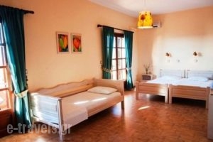 Georgia-Vicky Studios & Apartments_best prices_in_Apartment_Crete_Chania_Stavros