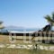 Cavo Petra_holidays_in_Room_Piraeus Islands - Trizonia_Trizonia_Trizonia Rest Areas