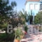 Defkalion_holidays_in_Apartment_Aegean Islands_Lesvos_Petra